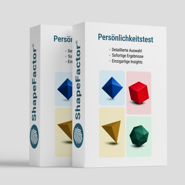 ShapeFactor® Vollanalyse, Verhaltensprofil und Auswertung